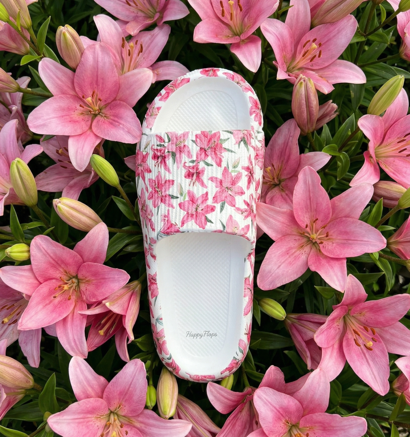 Happy Flops Limited Editions